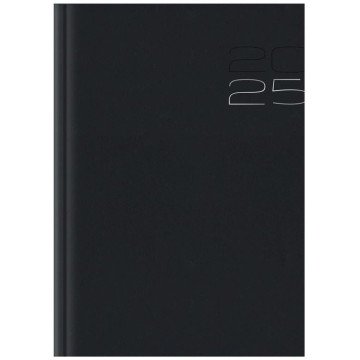 AGENDA 1DP 170x240 AU/MUL OE000529 AÑO 2022