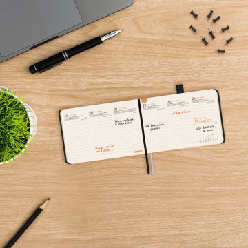 AG. FINOCAM TEXTURA (104x073) S/VV CATALA ANY 2022 (M0C)