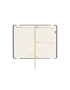 AG. FINOCAM TEXTURA (150x213) S/VH CATALA ANY 2022 (MA5C)