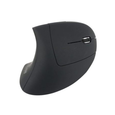 MOUSE INALAMBRIC ERGONOMIC ECONOMIC (USB)