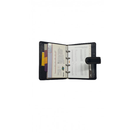 AG. FINOCAM 601(056x089) PELL ASPEN