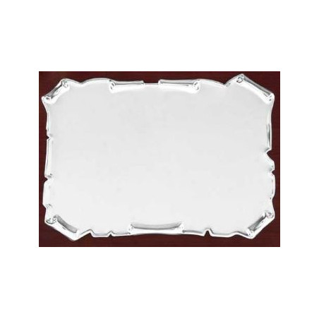 PLACA HOMENATGE / HONOR / CONMEMORACIO 190x130 PLATA