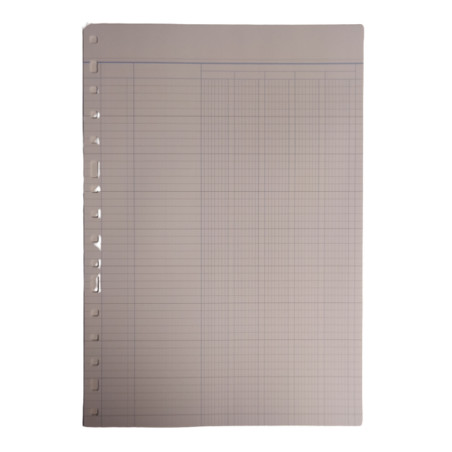 REC. FULLS 3005  5 COLUMNES (50u)                          (ABO)