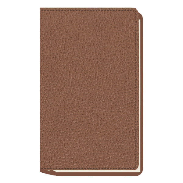 AGENDA MYRGA 09x16 PLANING S/VV AP. CORBE MYR3811 AÑO 2023