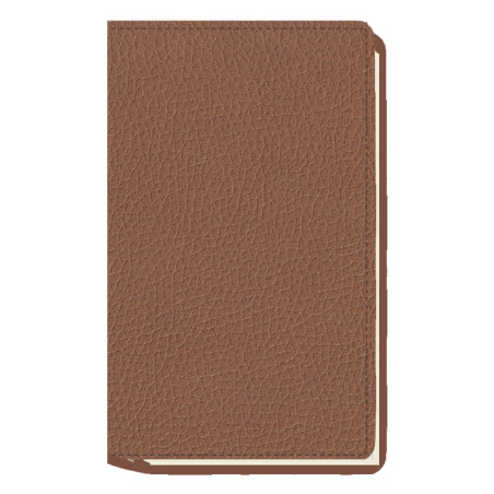 AGENDA MYRGA 09x16 PLANING S/VV AP. CORBE MYR3811 AÑO 2023