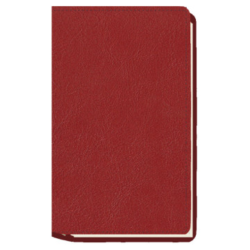 AGENDA MYRGA 09x16 PLANING S/VV AP. CORBE MYR3811 AÑO 2023