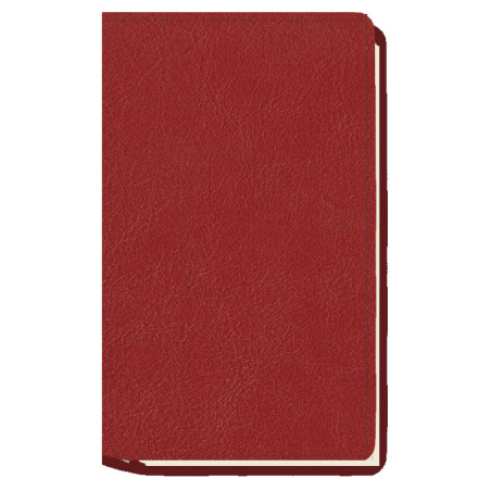 AGENDA MYRGA 09x16 PLANING S/VV AP. CORBE MYR3811 AÑO 2023