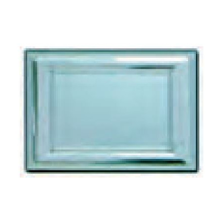 PLACA HOMENATGE / HONOR / CONMEMORACIO 255x180 PLATA