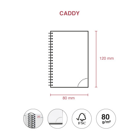 AG. MR ESP. 16º (080x125) 1DP BASIC CATALA ANY 2022