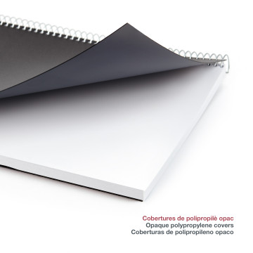 AG. MR ESP. 4º (155x215) S/VV BASIC CATALA ANY 2022