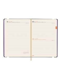AG. FINOCAM ESP. A4 (210x297) 1DP CATALA OPAQUE ANY 2023 (E40)