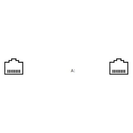 CABLE RJ45 (F) / 2 x RJ45 (F) ADAPTADOR LLADRE