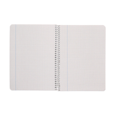 CUAD. ESP. RECICLAT 4º C.4 (80f) 80gr ECOUSE