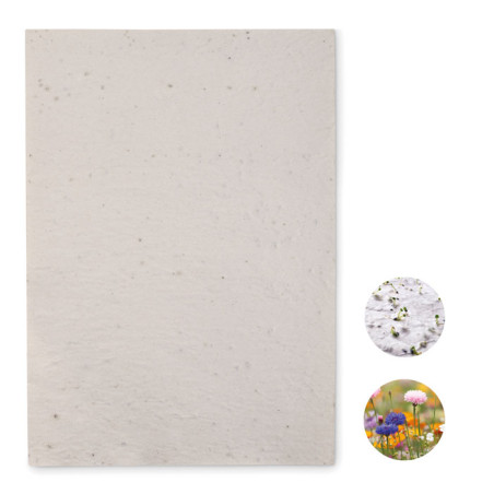 PAPER DIN A4 LLAVORS / SEMILLAS FLORS (1 FULL)