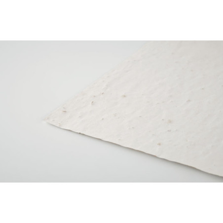 PAPER DIN A4 LLAVORS / SEMILLAS FLORS (1 FULL)