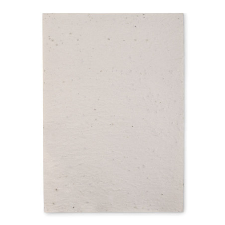 PAPER DIN A4 LLAVORS / SEMILLAS FLORS (1 FULL)