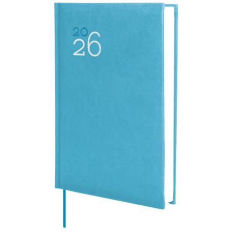 AGENDA 1DP ESP. 168x240 CATALA JODSI ANY 2024