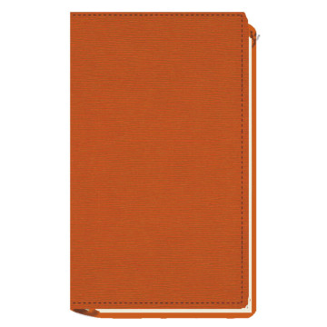 AGENDA MYRGA 075x135 PLANING M/V EXT. MYR3700 AÑO 2024