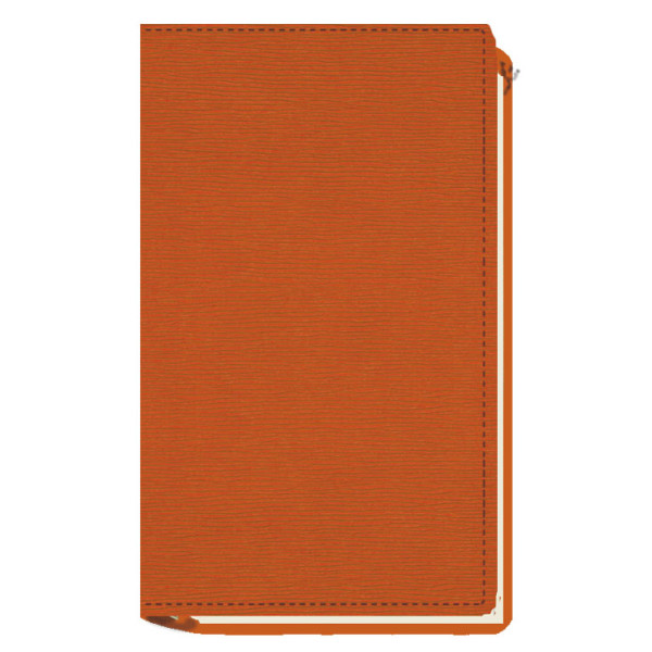 AGENDA MYRGA 075x135 PLANING M/V EXT. MYR3700 AÑO 2024