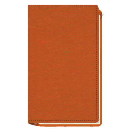 AGENDA MYRGA 075x135 PLANING M/V EXT. MYR3700 AÑO 2024