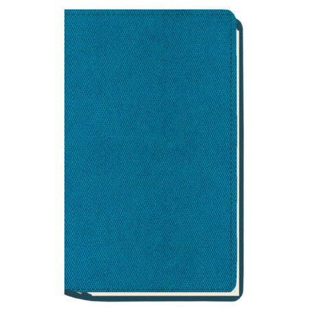 AGENDA MYRGA 075x135 PLANING M/V EXT. MYR3700 AÑO 2024