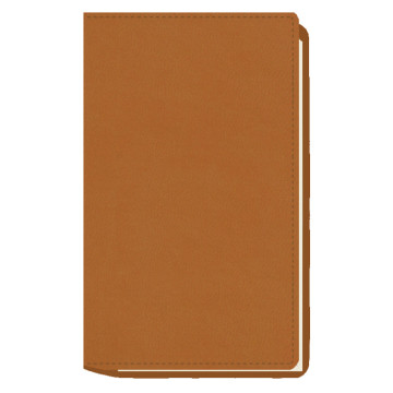 AGENDA MYRGA 075x135 PLANING M/V EXT. MYR3700 AÑO 2024