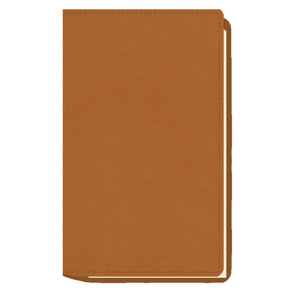 AGENDA MYRGA 075x135 PLANING M/V EXT. MYR3700 AÑO 2024