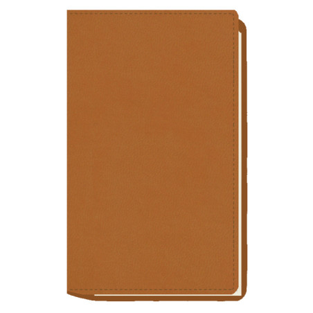 AGENDA MYRGA 075x135 PLANING M/V EXT. MYR3700 AÑO 2024