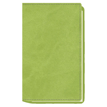 AGENDA MYRGA 075x135 PLANING M/V EXT. MYR3700 AÑO 2024