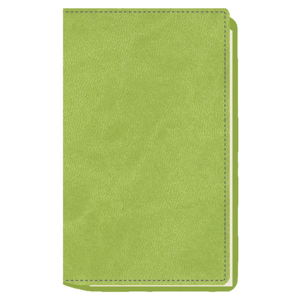 AGENDA MYRGA 075x135 PLANING M/V EXT. MYR3700 AÑO 2024