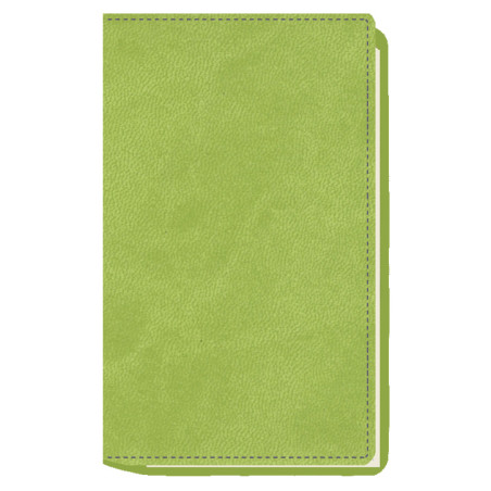 AGENDA MYRGA 075x135 PLANING M/V EXT. MYR3700 AÑO 2024