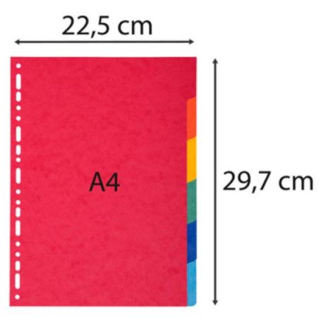 SEP.  6 POS CARTULINA 220gr  (225x297)