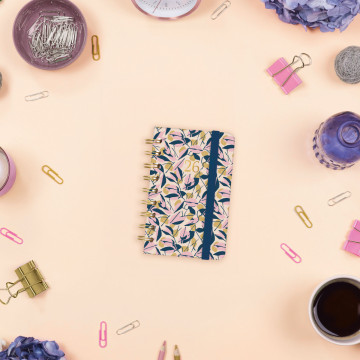 AG. FINOCAM ESP. (079x127)(E3) S/V AP CATALA ANY 2025