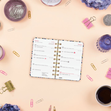 AG. FINOCAM ESP. (079x127)(E3) S/V AP CATALA ANY 2025