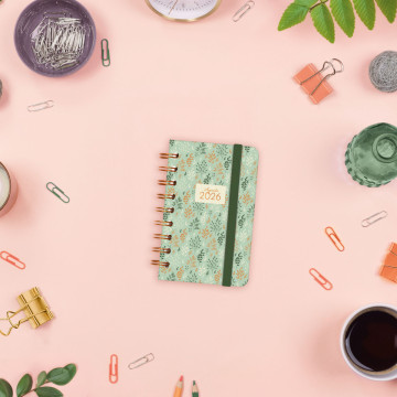 AG. FINOCAM ESP. (079x127)(E3) S/V AP SP AÑO 2025