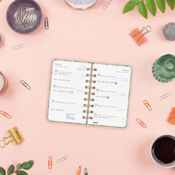 AG. FINOCAM ESP. (079x127)(E3) S/V AP SP AÑO 2025