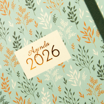 AG. FINOCAM ESP. (079x127)(E3) S/V AP SP AÑO 2025