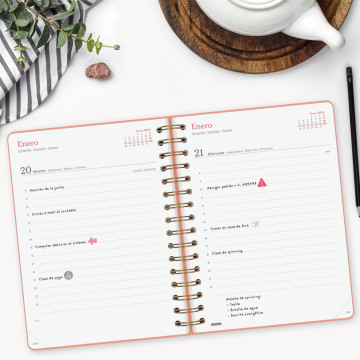 AG. FINOCAM ESP. 4º (155x215) 1DP SP AÑO 2025 (E10) ALMA