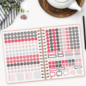 AG. FINOCAM ESP. 4º (155x215) 1DP SP AÑO 2025 (E10) ALMA