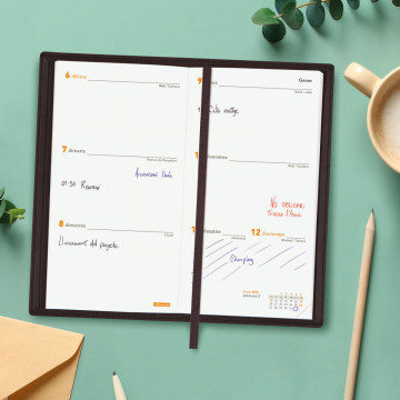 AG. FINOCAM PLANA 4 (080x150) S/VH CATALA IBIS NEGRE ANY 2025