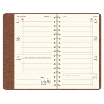 AGENDA MYRGA 08x14 PLANING S/VH ESP. LIEBANA TELA (MYR3808) AÑO