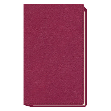 AGENDA MYRGA 09x16 PLANING S/VV AP. CORBERA MYR3511 AÑO 2026