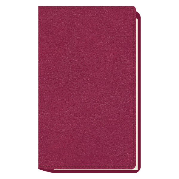 AGENDA MYRGA 09x16 PLANING S/VV AP. CORBERA MYR3511 AÑO 2026