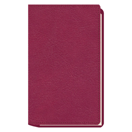 AGENDA MYRGA 09x16 PLANING S/VV AP. CORBERA MYR3511 AÑO 2026