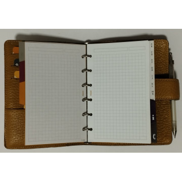 AG. FINOCAM 603 (079x127) CRIS  (ABO)