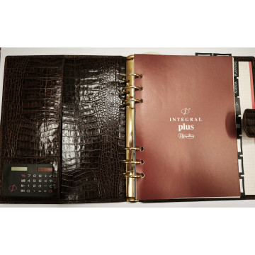 AG. MR INTPLUS (155x215) GOLD                (ABO)