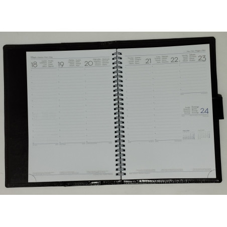 AGENDA AL-3 1DP 17 PELL DELTA                (ABO)