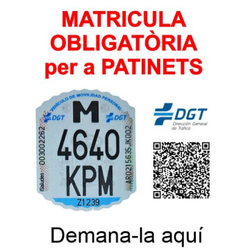 SENYAL MATRICULA PATINET 53x65 PEGATINA HOMOLOGADA