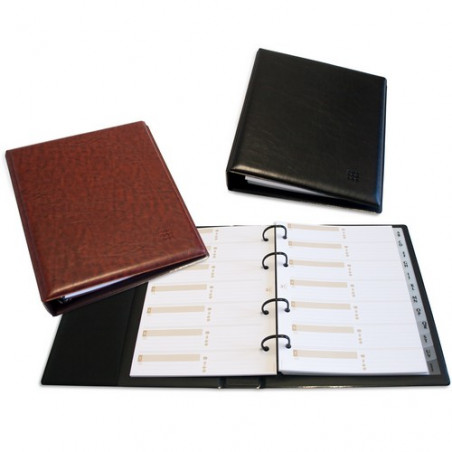 Recambio 10 Fundas  Tarjetero Din-A4 4 Taladros