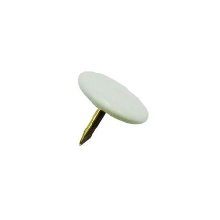 XINXETES COLOR BLANC